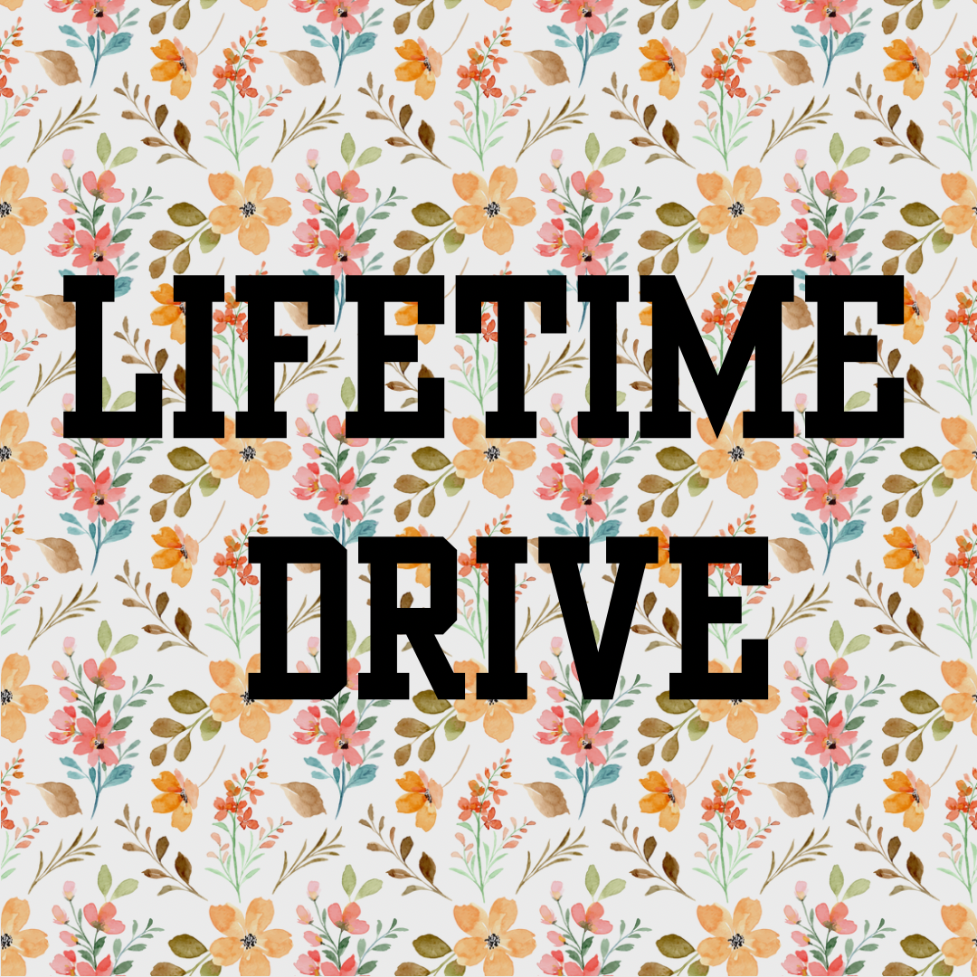 Lifetime Drive