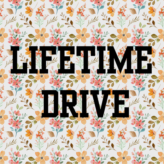 Lifetime Drive