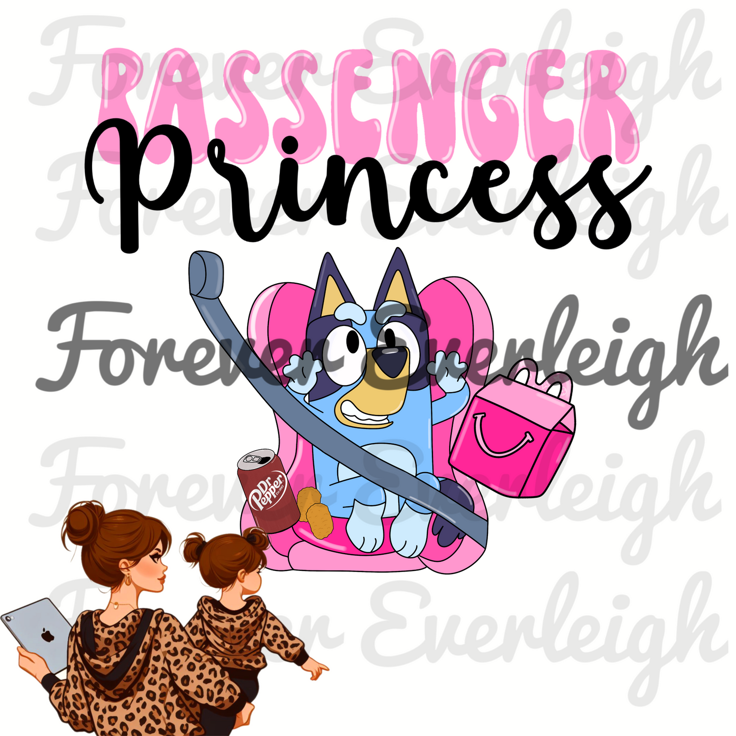 Passenger princess png